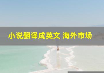 小说翻译成英文 海外市场